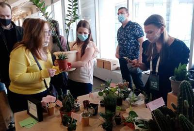 Зелёный обмен: в Екатеринбурге прошёл первый фестиваль комнатных растений