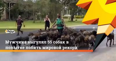 Мужчина выгулял 55 собак в попытке побить мировой рекорд