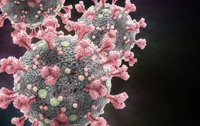 Выявлены гены, которые борются с коронавирусом - korrespondent.net