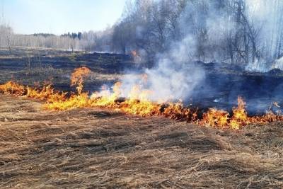 За выходные чувашские пожарные 27 раз тушили горящую траву