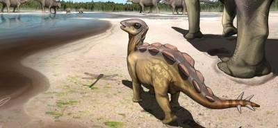 Палеонтологи нашли в Китае самый маленький след стегозавра