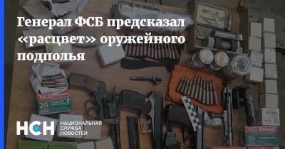 Генерал ФСБ предсказал «расцвет» оружейного подполья