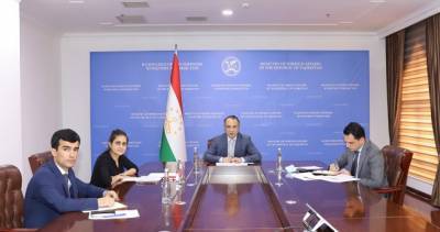 Второй раунд политических консультаций между МИД Таджикистана и Нидерландов состоялся в формате видеоконференции