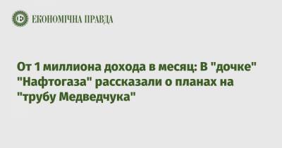 От 1 миллиона дохода в месяц: В "дочке" "Нафтогаза" рассказали о планах на "трубу Медведчука"