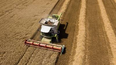 На Украине сообщили о снижении сельхозпроизводства