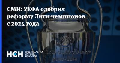СМИ: УЕФА одобрил реформу Лиги чемпионов с 2024 года