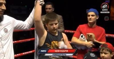 Бокс по-чеченски: сыну Кадырова подарили причудливую победу на детском турнире (видео)