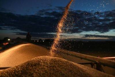 Экспортные цены на пшеницу РФ продолжили рост на прошлой неделе вслед за мировыми