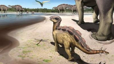 Бронированный динозавр размером с кошку ходил на цыпочках