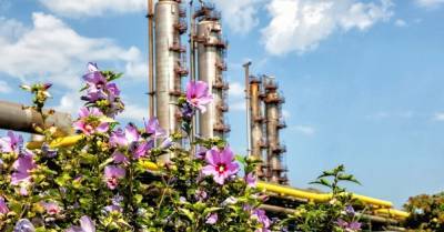 ОПЗ получит загрузку и рост капитализации перед приватизацией — эксперт о поставщике газа