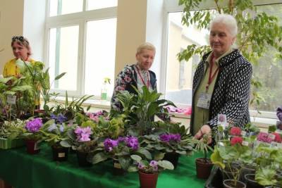 В Мичуринске прошёл фестиваль комнатных цветов