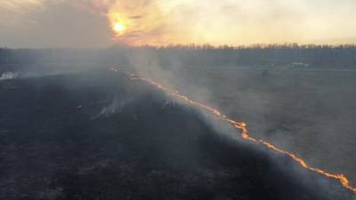 145 пожаров из-за пала травы зафиксировано за выходные в Нижегородской области