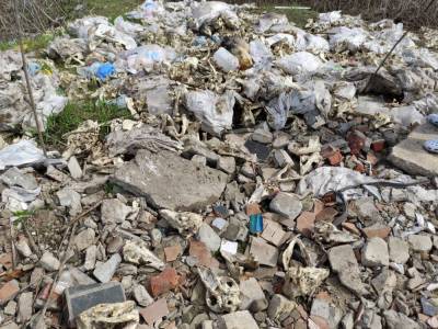 Кости 200 животных и мертвая собака: на Харьковщине обнаружили незаконный могильник – фото