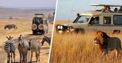 Занзибара оказалась мало: теперь чартеры с туристами полетели в Кению