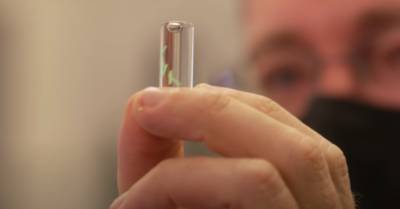 Американские военные изобрели чип, позволяющий выявить коронавирус за пять минут