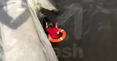 Девушка решила сделать селфи на мосту и упала в Москву-реку