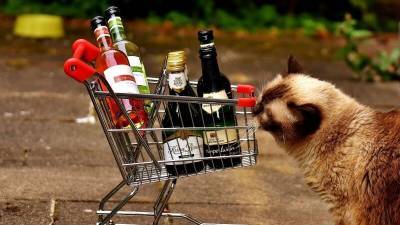 Продажи алкогольных напитков в России снизились