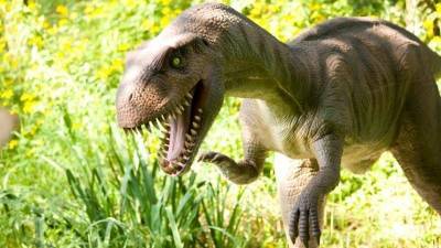 Парк Юрского периода: в США камеры видеонаблюдения засняли живого «динозавра»