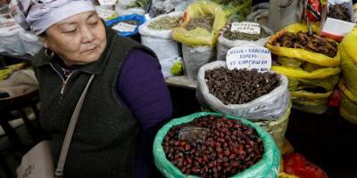 Алымкадыр Бейшеналиев - Убийственный «чай от кашля». В Кыргызстане больных коронавирусом лечили ядовитым растением - nv.ua - Киргизия