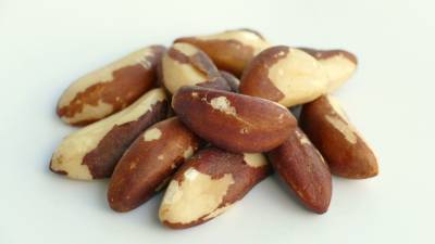 Ученые разгадали механику "эффекта бразильского ореха"