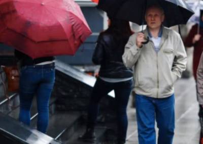 Порывы ветра и обильные осадки: синоптики предупредили о непростой погоде в Украине 20 апреля