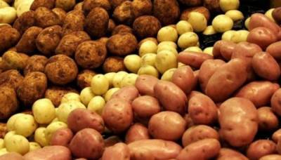 В Украине с начала года картофель подорожал на 20%