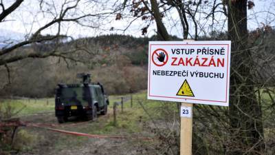 Бабиш: взрывы во Врбетице не были актом терроризма