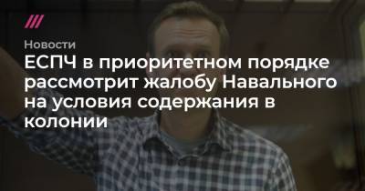 ЕСПЧ в приоритетном порядке рассмотрит жалобу Навального на условия содержания в колонии