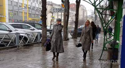 "Пойдет снег": в Ярославле обещают откат к зиме