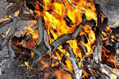 Поджигатели травы в ЛНР были оштрафованы на 22600 рублей