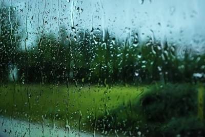 Небольшие дожди ожидают Смоленщину 20 апреля