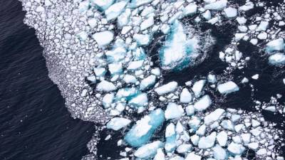 Растаял самый большой на Земле айсберг