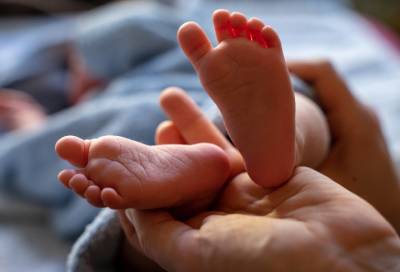 Стала известна судьба петербургского младенца, оставшегося сиротой из-за коронавируса