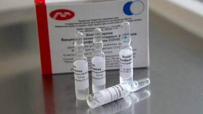Вакцина «ЭпиВакКорона» начала поступать в медучреждения России