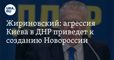 Жириновский: агрессия Киева в ДНР приведет к созданию Новороссии