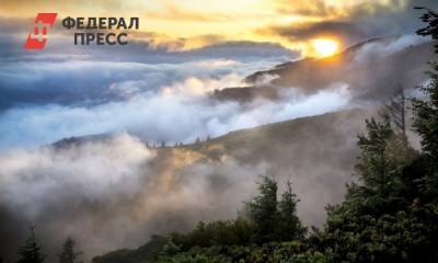 За лесными пожарами в Красноярске будут следить камеры