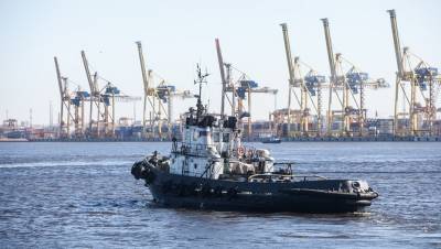 "Катастрофа для города": перенести порт из Петербурга нереально