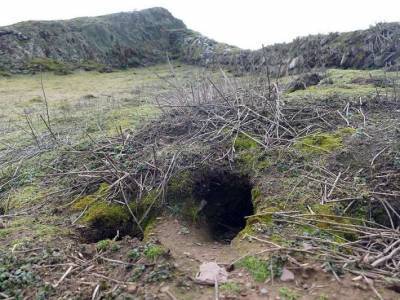 Кролики откопали уникальные артефакты на острове у побережья Уэльса