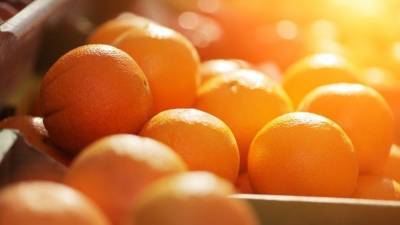Сирийские апельсины скоро появятся на российских прилавках