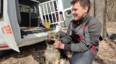Под Харьковом спасли собаку, которая неделю дрейфовала на льдине