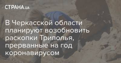 В Черкасской области планируют возобновить раскопки Триполья, прерванные на год коронавирусом