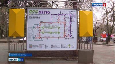 В ростовском зоопарке разработали схему метро