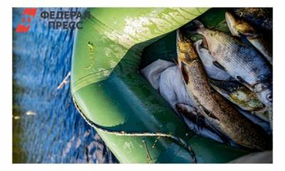Рыбакам на Ямале разрешили удить ценную рыбу