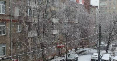 Огромные хлопья и плохая видимость: Москву накрыл апрельский снегопад — видео