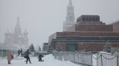 Мокрый снег вернул в Москву зимние пейзажи