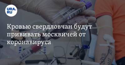 Кровью свердловчан будут прививать москвичей от коронавируса