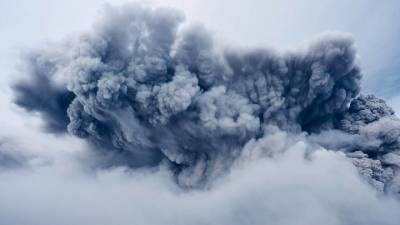 "Полыхать будет как никогда": в Приморском крае начались лесные пожары