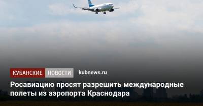 Росавиацию просят разрешить международные полеты из аэропорта Краснодара