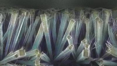 Тайник с кристаллами возрастом 105 тысяч лет нашли в Южной Африке
