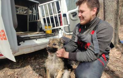 В Харьковской области спасли собаку, которая неделю дрейфовала на льдине
